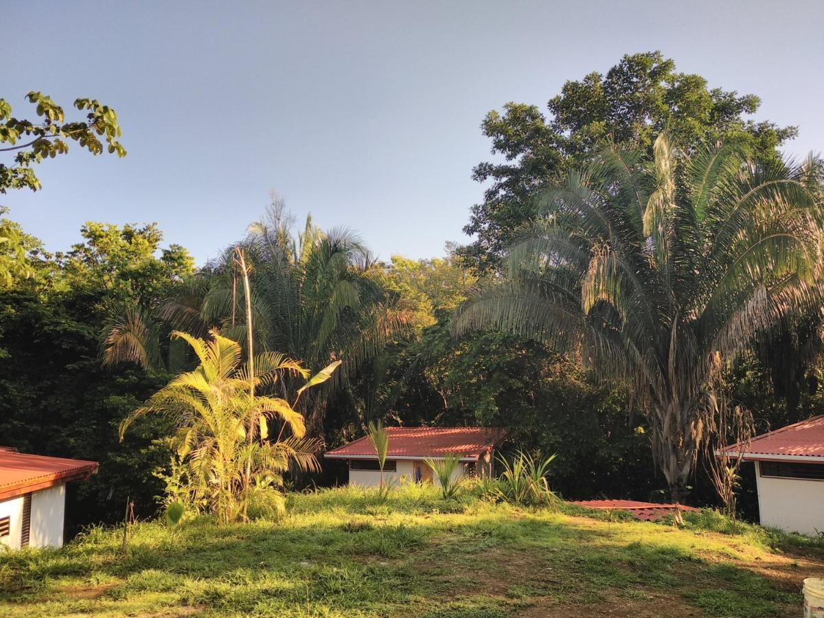 Selva Linda eco-responsible Lodge Quepos Exterior foto
