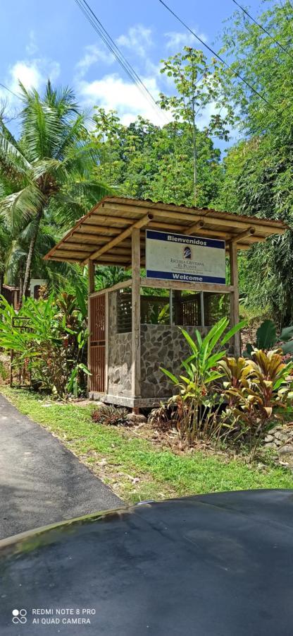 Selva Linda eco-responsible Lodge Quepos Exterior foto