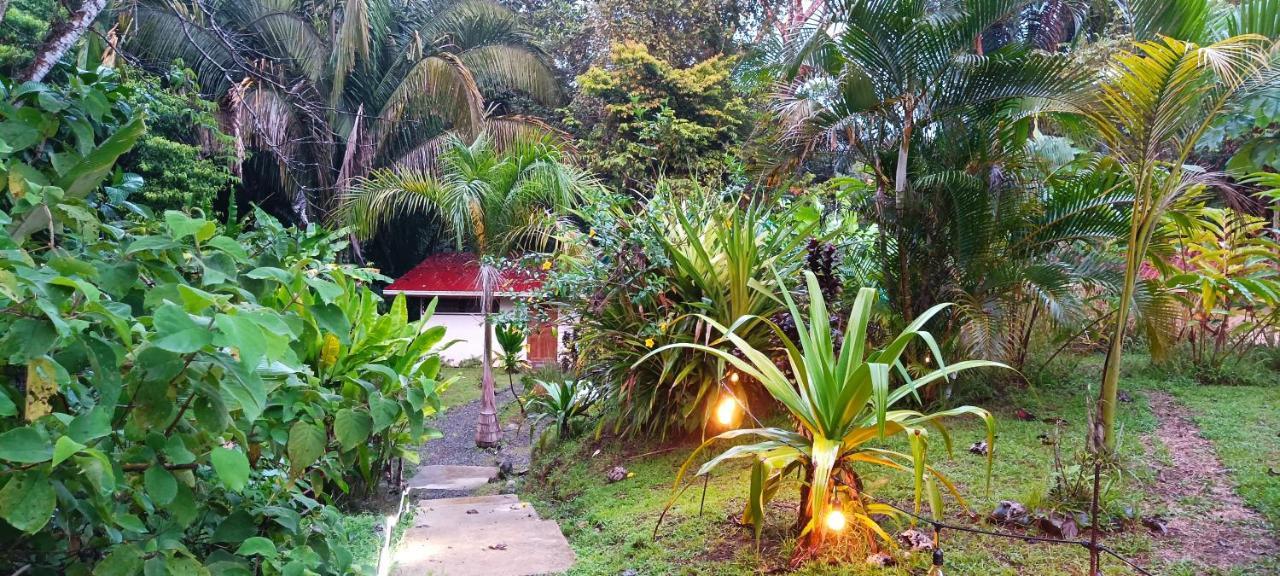 Selva Linda eco-responsible Lodge Quepos Exterior foto