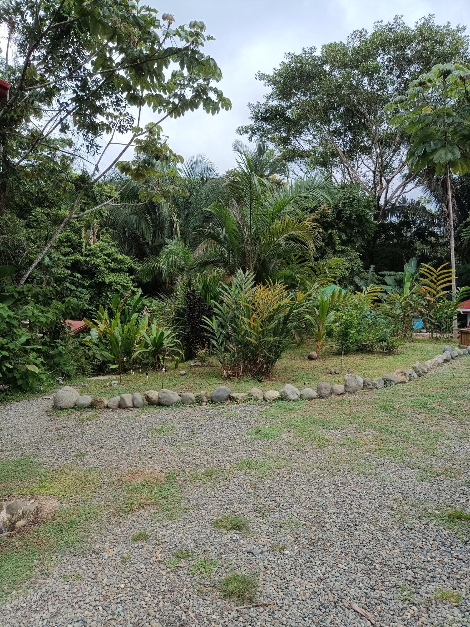 Selva Linda eco-responsible Lodge Quepos Exterior foto
