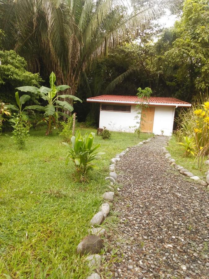 Selva Linda eco-responsible Lodge Quepos Exterior foto