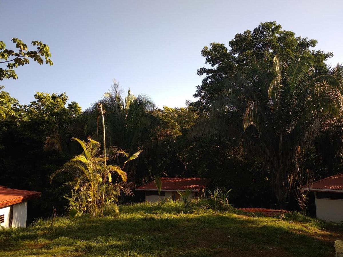 Selva Linda eco-responsible Lodge Quepos Exterior foto
